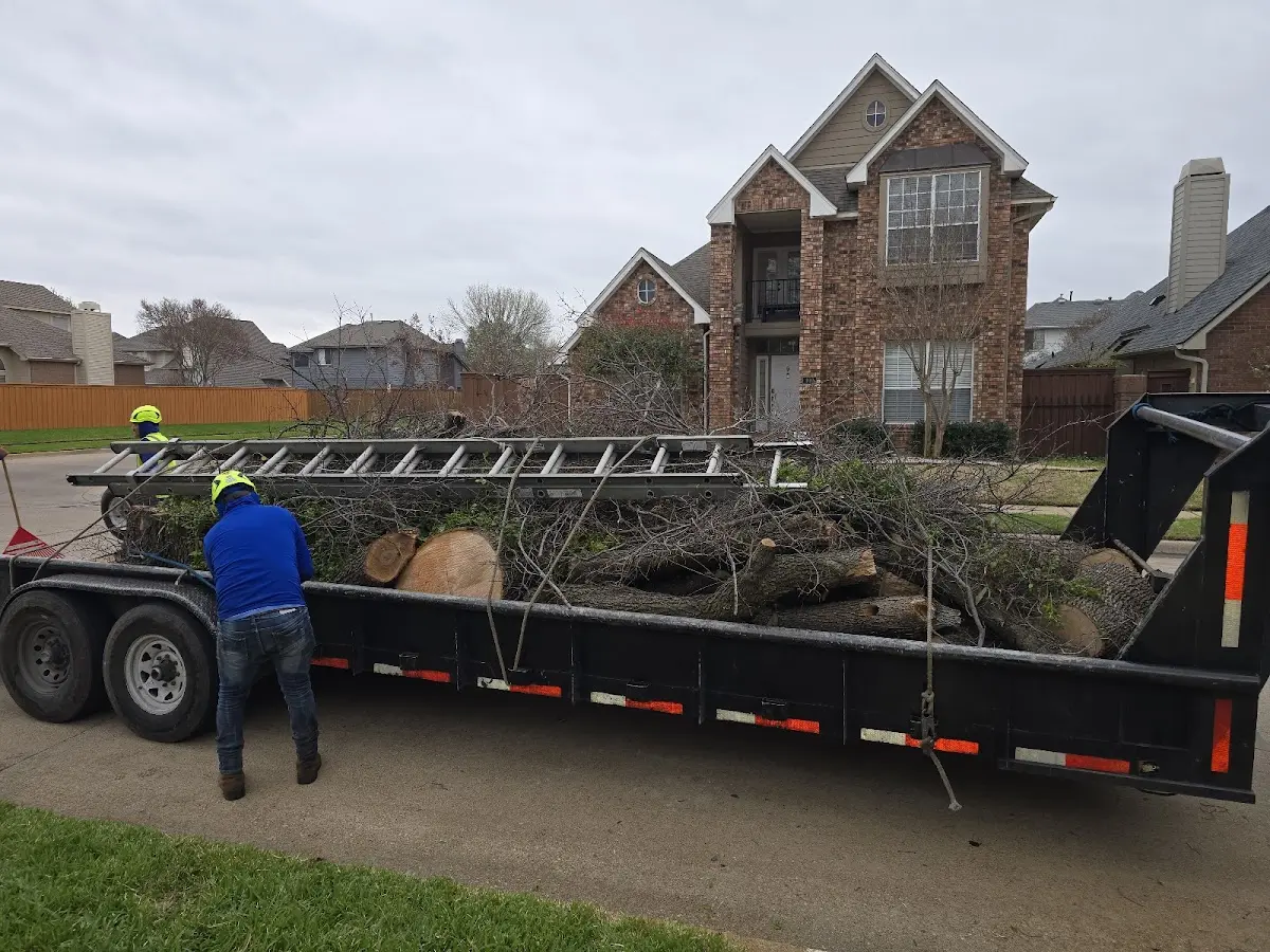 Expert Tree Pest Control with proper safety equipment in Oley